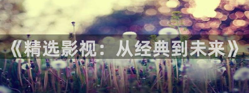 秋霞网站是多少：《精选影视：从经典到未来》