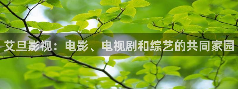 秋霞电影手机版的：艾旦影视：电影、电视剧和综艺的共同家园