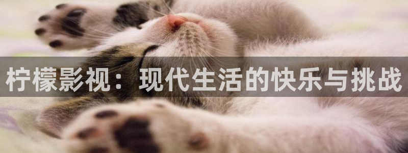神马影院秋霞在线观看：柠檬影视：现代生活的快乐与挑战