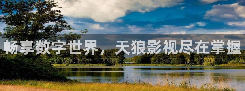 秋霞电影新或名：畅享数字世界，天狼影视尽在掌握