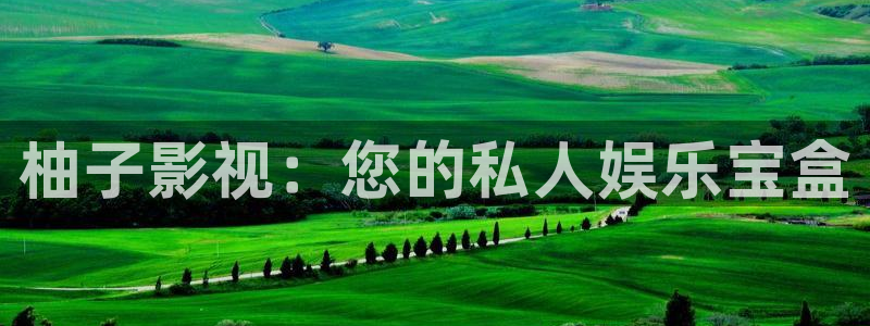 秋霞电影网在线电影