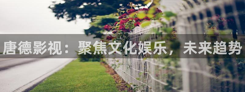 秋霞电影新网址：唐德影视：聚焦文化娱乐，未来趋势