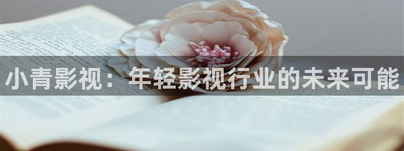 秋霞22yy：小青影视：年轻影视行业的未来可能