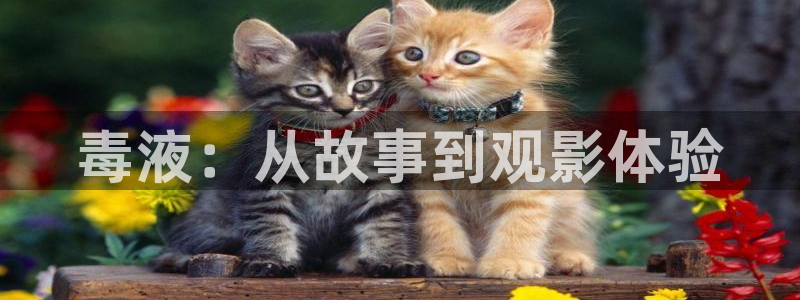 秋霞电影论理：毒液：从故事到观影体验