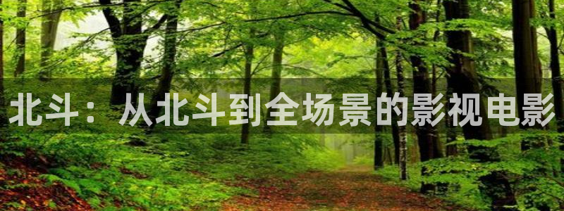 秋霞电视电影：北斗：从北斗到全场景的影视电影