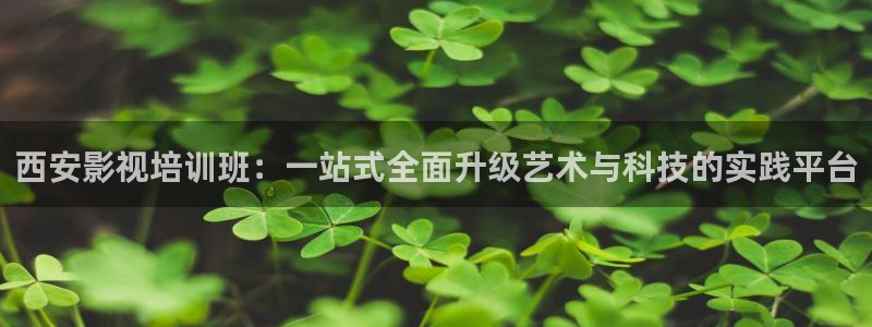 搜秋霞电影网：西安影视培训班：一站式全面升级艺术与科技的实践平台