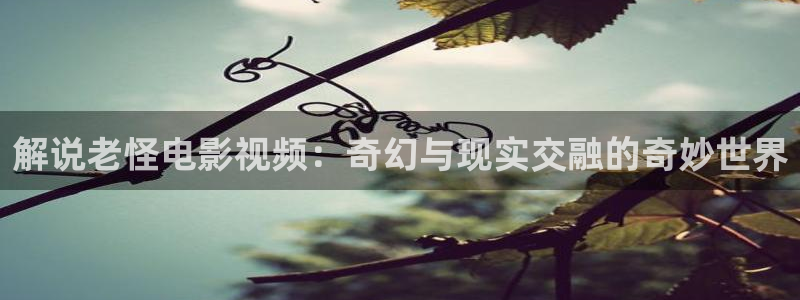 秋霞电影网伦霞：解说老怪电影视频：奇幻与现实交融的奇妙世界