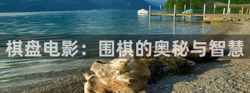 秋霞网麻豆：棋盘电影：围棋的奥秘与智慧