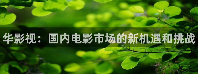 秋霞大片入口：华影视：国内电影市场的新机遇和挑战