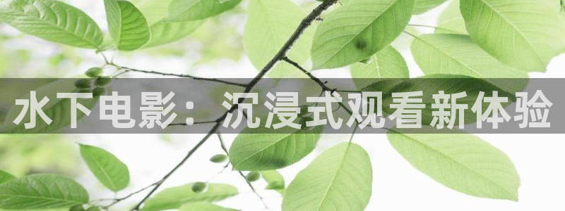 秋霞电影网农民伯伯乡下妹：水下电影：沉浸式观看新体验