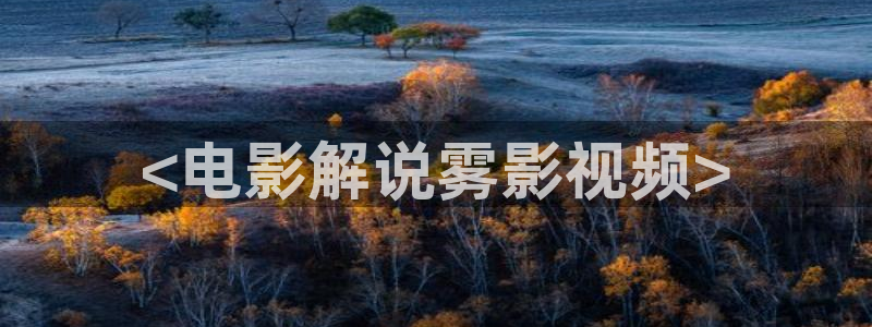 秋霞电影网久久久：<电影解说雾影视频>