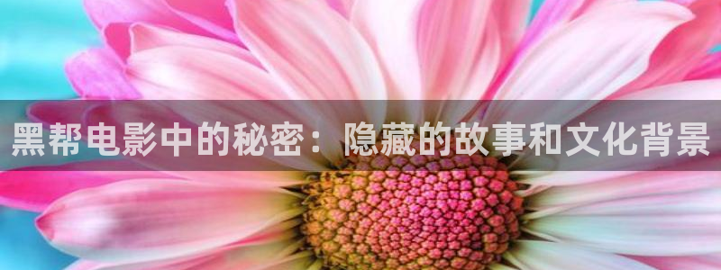 秋霞影视网伦理片