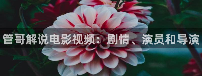 秋霞影院国产精品：管哥解说电影视频：剧情、演员和导演