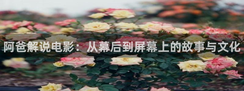 秋霞影院欧美一区二区三区：阿爸解说电影：从幕后到屏幕上的故事与文化