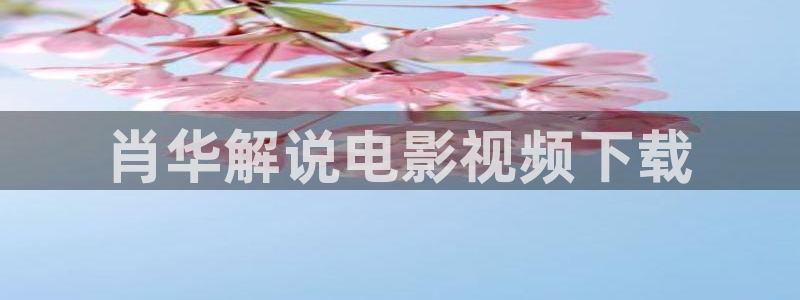 秋霞网伦理：肖华解说电影视频下载