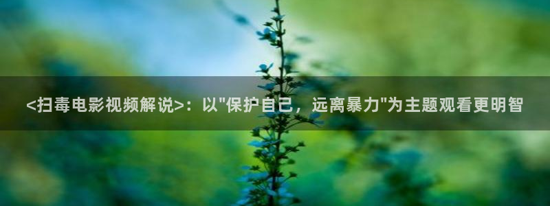 九九影视秋霞：<扫毒电影视频解说>：以\