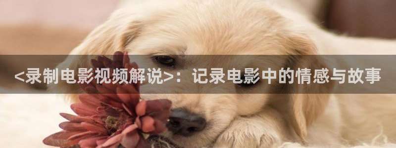 神马影院秋霞在线：<录制电影视频解说>：记录电影中的情感与故事