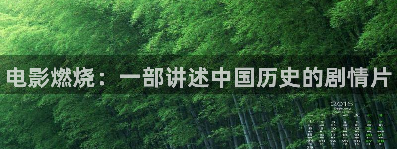 秋霞1级片：电影燃烧：一部讲述中国历史的剧情片