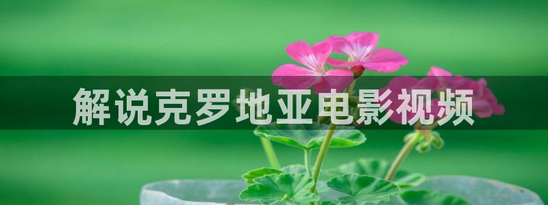 秋霞电影入囗