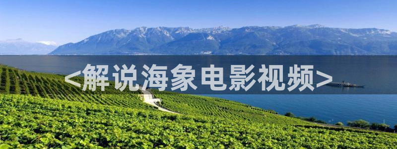 何秋霞：<解说海象电影视频>