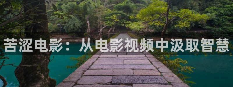 717电影网good三级秋霞电影：苦涩电影：从电影视频中汲取智慧