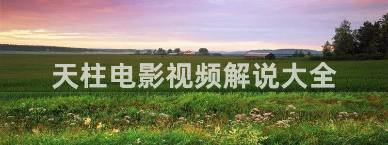 日韩伦理片秋霞影院：天柱电影视频解说大全
