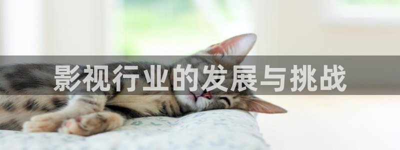 秋霞岛国片：影视行业的发展与挑战