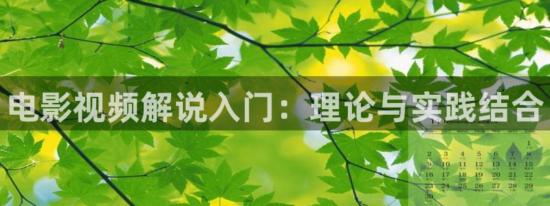 秋霞手机免费在线电影